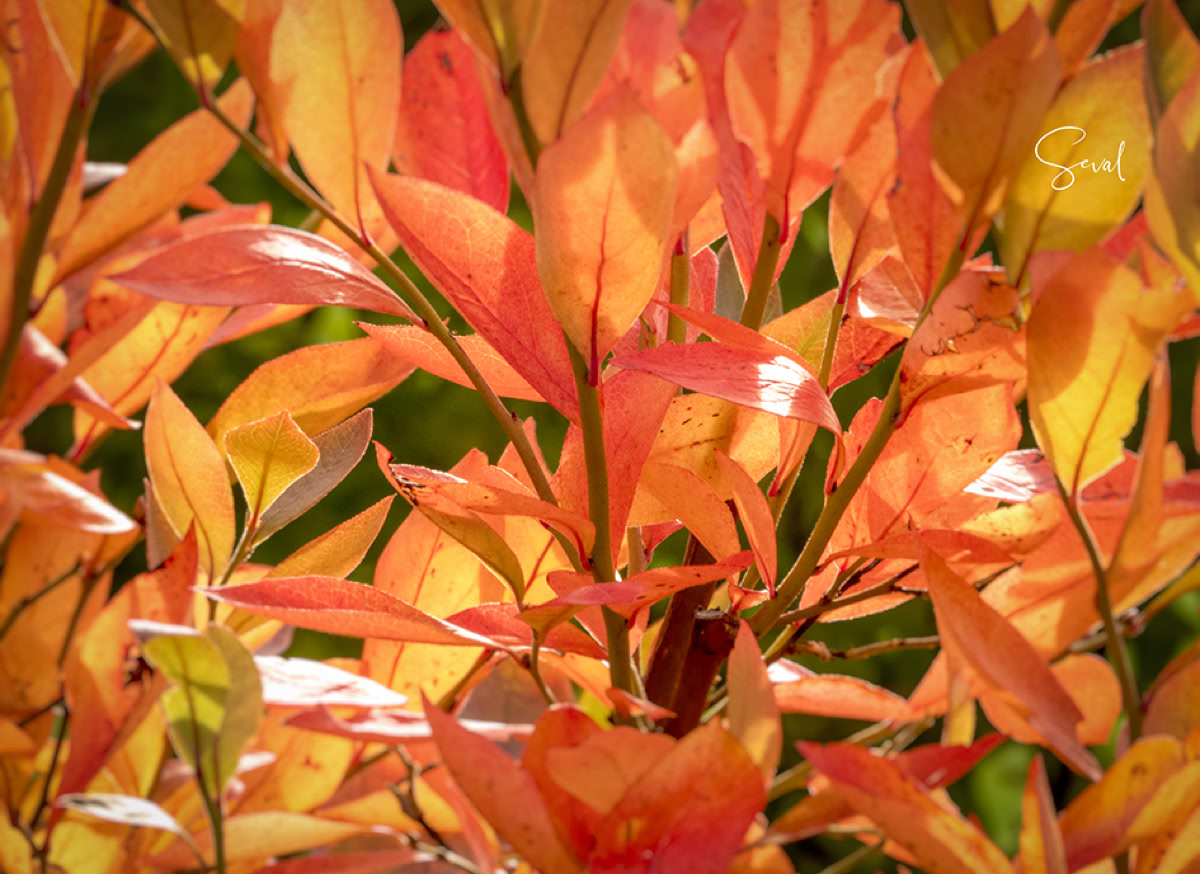 Farben. Formen. Licht.
