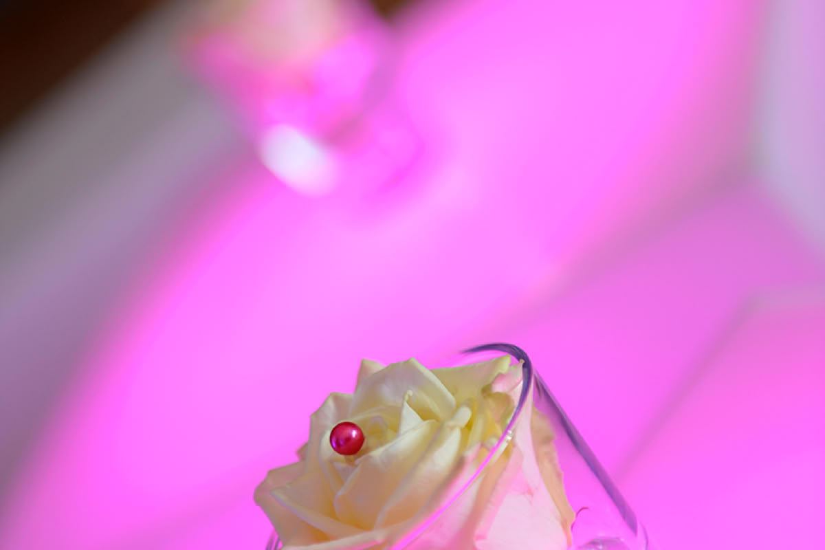 • rosa Rose  • Blume im Glas  • modernes Stillleben  • pinke Fotografie  • florale Kunst  • kreative Fotokunst  • Lichtspiel  • sanfte Farben  • Dekoration  • Ästhetik  • romantisch  • minimalistisch  • Kunstfotografie  • Emotionen in Farbe
