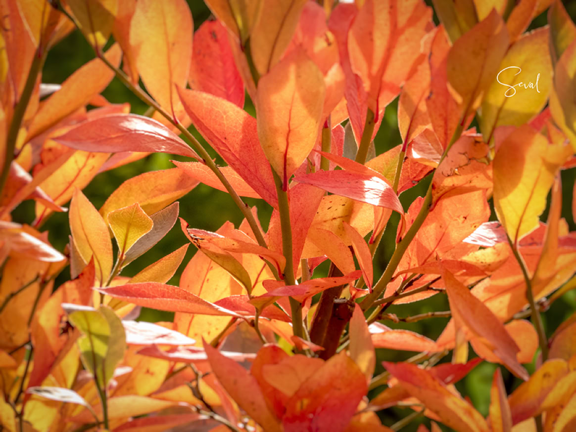 Farben. Formen. Licht.